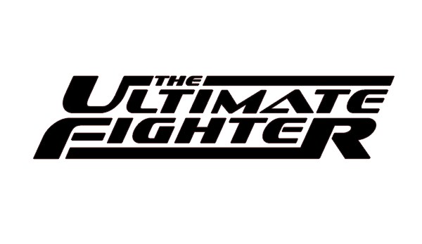 Ultimate Cage Fighters 3